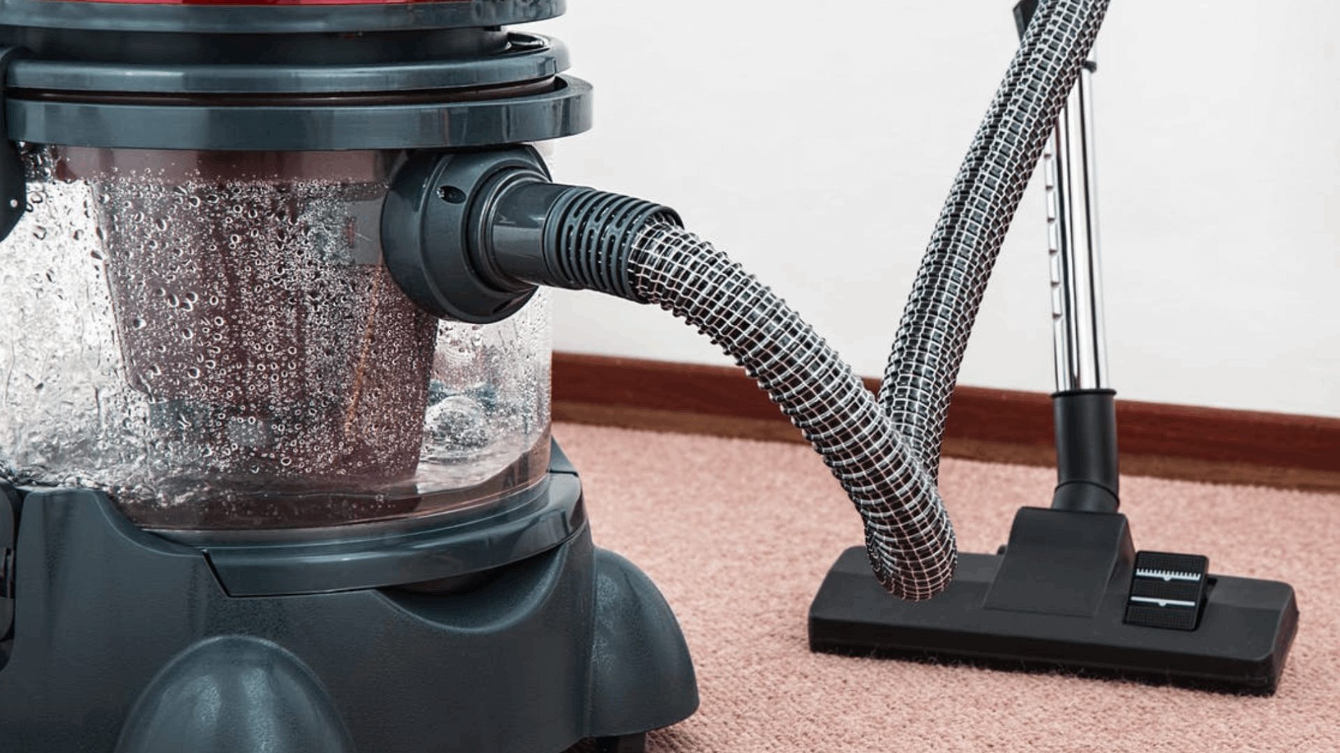 Top 10 best vacuum cleaner for thick carpet Explore Cave